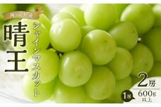 ぶどう 2025年  シャイン マスカット 晴王 2房（1房600g以上） | シャインマスカット シャイン マスカット 果物 フルーツ 新鮮 ブドウ 葡萄  岡山 国産 ギフト おすすめ 人気