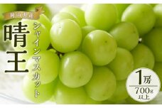 ぶどう 2025年 先行予約 シャイン マスカット 晴王 1房 700g以上 ブドウ 葡萄  岡山県産 国産 フルーツ 果物 ギフト
