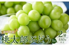 ぶどう 2025年 先行予約 桃太郎 ぶどう 2房（1房480g以上）｜フルーツ 果物 くだもの 食品 人気 特産 特産品 おすすめ 送料無料 ぶどう 2025年 先行予約 桃太郎 ぶどう 2房 ブドウ 葡萄 岡山県産 国産 フルーツ 果物 ギフト 贈り物 果物類 いろは堂