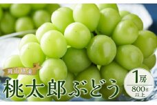 ぶどう 2025年 先行予約 桃太郎 ぶどう 1房800g以上｜フルーツ 果物 くだもの 食品 人気 特産 特産品 おすすめ 特選 送料無料 ぶどう 2025年 先行予約 桃太郎 ぶどう 1房 800g以上 ブドウ 葡萄 岡山県産 国産 フルーツ 果物 ギフト 果物類 いろは堂