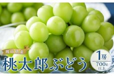 ぶどう 2025年 先行予約 桃太郎 ぶどう 1房700g以上｜フルーツ 果物 くだもの 食品 人気 特産 特産品 おすすめ 特選 送料無料 ぶどう 2025年 先行予約 桃太郎 ぶどう 1房 700g以上 ブドウ 葡萄 岡山県産 国産 フルーツ 果物 ギフト 果物類 いろは堂