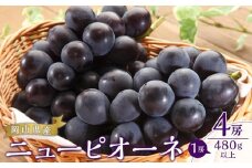 ぶどう 2025年 先行予約 ニュー ピオーネ 4房（1房480g以上）約2kg ブドウ 葡萄  岡山県産 国産 フルーツ 果物 ギフト
