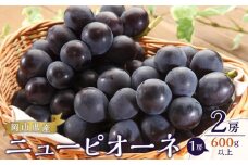 ぶどう 2025年 先行予約 ニュー ピオーネ 2房（1房600g以上） ブドウ 葡萄  岡山県産 国産 フルーツ 果物 ギフト