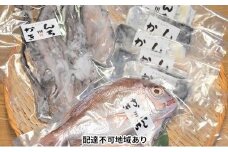 瀬戸内海 一夜干しセット（真蛸・真鯛・さわら）【配達不可：離島】