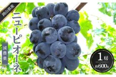 ぶどう 2025年 先行予約 ニュー ピオーネ 1房 約600g  減農薬 栽培 ブドウ 葡萄  岡山県産 国産 フルーツ 果物 ギフト  ばんの農園