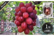 ぶどう 2025年  ウインク 1房 約600g  減農薬 ハウス栽培 ブドウ 葡萄  岡山県産 国産 フルーツ 果物 ギフト  ばんの農園