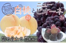 桃 ぶどう 2025年 先行予約 果物詰合せ 白桃 2玉（1玉200g以上） ニュー ピオーネ 2房（合計約940g）化粧箱入り もも 葡萄 岡山県産 国産 フルーツ ギフト