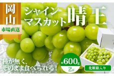 ぶどう 2025年 先行予約 シャイン マスカット 晴王 2房（1房 600g以上）化粧箱入り マスカット ブドウ 葡萄  岡山県産 国産 フルーツ 果物 ギフト