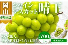 ぶどう 2025年 先行予約 シャイン マスカット 晴王 1房 700g以上 化粧箱入り マスカット ブドウ 葡萄  岡山県産 国産 フルーツ 果物 ギフト