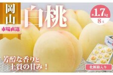 桃 2025年 先行予約 岡山 白桃 8玉（合計1.7kg以上）化粧箱入り もも モモ 岡山県産 国産 フルーツ 果物 ギフト