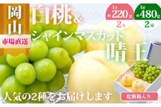 桃 ぶどう 2025年 先行予約 果物 詰合せ 白桃 2玉（1玉220g以上）シャインマスカット 晴王 2房（1房480g以上）化粧箱入り | フルーツ 果物 くだもの モモ もも 桃 ぶどう 葡萄 ブドウ シャインマスカット マスカット 白桃 晴王 詰合せ 詰め合わせ セット 果物セット 岡山 岡山県産 国産 モモ もも 桃 ぶどう 葡萄 ブドウ  晴王 白桃 マスカット シャインマスカット