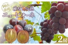 ぶどう2026年 種なし完熟 ニューピオーネ 2房 岡山市産 渡邊農園