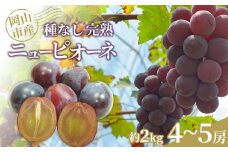 ぶどう 2025年 先行予約 種なし完熟 ニューピオーネ 約2kg（4～5房）岡山市産 渡邊農園