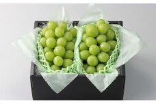 ぶどう 2025年 先行予約 農家こだわりのシャインマスカット 2房 合計約1.2kg 贈答クラス 【 Nini farm 農家 直送 】 | フルーツ 果物 くだもの ぶどう ブドウ シャインマスカット 2房  国産 岡山県産 食品 人気 おすすめ 先行予約 送料無料 ギフト 贈り物 贈答品 プレゼント ぶどう ブドウ シャインマスカット