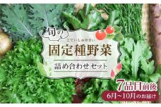 野菜 旬の「固定種」野菜 バイオダイナミック農業 7品目前後（6月～10月のお届け）冷蔵配送