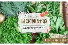 野菜［2025年先行予約］旬の固定種野菜 バイオダイナミック農業 7品目前後（11月～2月のお届け）常温配送
