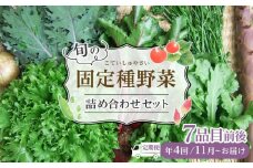 野菜［2025年先行予約 4回定期便］ 旬の固定種野菜 バイオダイナミック農業  7品目前後（11月～2月のお届け）常温配送