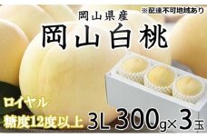 桃 2025年 先行予約 岡山 白桃 ロイヤル 3玉×約300g（3Lサイズ）JAおかやまのもも（早生種・中生種） もも モモ 岡山県産 国産 フルーツ 果物 ギフト