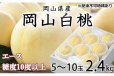 桃 2025年 先行予約 岡山 白桃 エース 5～10玉 約2.4kg  JAおかやまのもも（早生種・中生種） もも モモ 岡山県産 国産 フルーツ 果物 ギフト