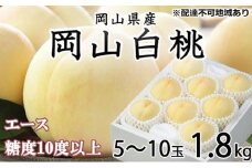桃 2025年 先行予約 岡山 白桃 エース 5～10玉 約1.8kg JAおかやまのもも（早生種・中生種） もも モモ 岡山県産 国産 フルーツ 果物 ギフト