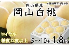 桃 2026年 岡山 白桃 ロイヤル 5～10玉 約1.8kg JAおかやまのもも（早生種・中生種） 【白桃 桃 もも 果物 フルーツ 新鮮 岡山県産 おすすめ 人気 ギフト 岡山県 岡山市】