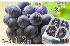 ぶどう 2025年 先行予約  ニュー ピオーネ 3房～6房 約1.5kg ブドウ 葡萄  岡山県産 国産 フルーツ 果物 ギフト