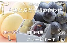 桃 ぶどう 2025年 先行予約 岡山 白桃 エース 2玉×約200g（Lサイズ、早生種・中生種）ニュー ピオーネ 1房約400g 詰め合わせ｜フルーツ 果物 くだもの もも ぶどう モモ ブドウ 桃 葡萄 白桃 エース 早生種 中生種 ピュオーネ ニューピュオーネ 2玉 1房 食品 人気 おすすめ 詰め合わせ 送料無料 ギフト 贈り物 贈答品 プレゼント 