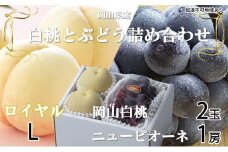 桃 ぶどう 2025年 先行予約 岡山 白桃 ロイヤル 2玉×約200g（Lサイズ、早生種・中生種）ニュー ピオーネ 1房約400g 詰め合わせ｜フルーツ 果物 くだもの もも ぶどう モモ ブドウ 桃 葡萄 白桃 ロイヤル 早生種 中生種 ピュオーネ ニューピュオーネ 2玉 1房 食品 人気 おすすめ 詰め合わせ 送料無料 ギフト 贈り物 贈答品 プレゼント 