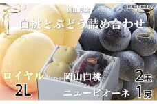  基本マスタを引き継ぐ  桃 ぶどう 2025年 先行予約 岡山 白桃 ロイヤル 2玉｜フルーツ 果物 くだもの もも ぶどう モモ ブドウ 桃 葡萄 白桃 ロイヤル 早生種 中生種 ピュオーネ ニューピュオーネ 2玉 1房 食品 人気 おすすめ 詰め合わせ 送料無料 ギフト 贈り物 贈答品 プレゼント ×約250g（2Lサイズ、早生種・中生種）ニュー ピオーネ 1房約500g 詰め合わせ