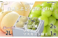 桃 ぶどう 2025年 先行予約 岡山 白桃 エース 2玉×約250g（2Lサイズ、早生種・中生種 ） シャイン マスカット 晴王 1房約500g 詰め合わせ｜フルーツ 果物 くだもの もも ぶどう モモ ブドウ 桃 葡萄 白桃 エース 早生種 中生種 シャインマスカット 晴王 2玉 1房 食品 人気 おすすめ 詰め合わせ 送料無料 ギフト 贈り物 贈答品 プレゼント 