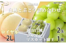 桃 ぶどう 2025年 先行予約 岡山 白桃 ロイヤル 2玉×約250g（2Lサイズ、早生種・中生種） シャイン マスカット 晴王 1房約500g 詰め合わせ ｜フルーツ 果物 くだもの もも ぶどう モモ ブドウ 桃 葡萄 白桃 ロイヤル 早生種 中生種 シャインマスカット 晴王 2玉 1房 食品 人気 おすすめ 詰め合わせ 送料無料 ギフト 贈り物 贈答品 プレゼント 