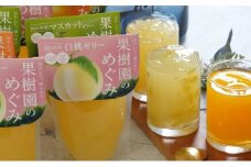 果物のおいしさをぎゅっと！果樹園のめぐみ白桃・みかん・マスカットゼリー3種詰め合わせセット 岡山県産