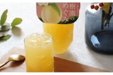 果物のおいしさをぎゅっと！果樹園のめぐみ白桃ゼリー 8個セット 岡山県産