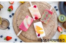 岡山フルーツの贅沢アイスバー 8本セット（4種×各2本）詰合せ 岡山県産 フルーツアイスファクトリー Gowell