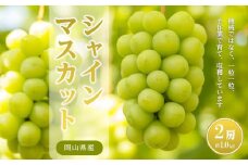 シャインマスカット 2房入  約1.0kg前後 岡山県産 | フルーツ 果物 くだもの シャインマスカット マスカット 葡萄 ぶどう ブドウ ギフト 贈答用 プレゼント 岡山県産 シャインマスカット マスカット フルーツ 果物 くだもの シャインマスカット