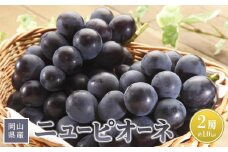 ニューピオーネ 2房入　約1.0kg前後　岡山県産