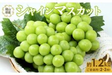 ぶどう 2024年 先行予約 ご家庭用 シャイン マスカット 2～3房 約1.2kg ブドウ 葡萄 岡山県産 国産 フルーツ 果物 直送！せとうちバスケット