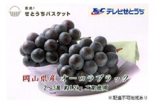 ぶどう 2024年 先行予約 ご家庭用 オーロラブラック 2～3房 約1.2kg ブドウ 葡萄 岡山県産 国産 フルーツ 果物 直送！せとうちバスケット