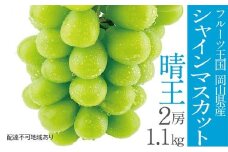 ぶどう 2025年 先行予約 シャイン マスカット 晴王 2房 計約1.1kg | 晴れの国 おかやま 岡山県産 フルーツ王国 果物王国