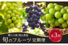 フルーツ 定期便 2025年 先行予約 晴れの国 岡山県産 旬のフルーツ定期便 3回コース 葡萄 ぶどう 岡山県産 国産 セット ギフト