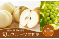 フルーツ 定期便 2025年 先行予約 晴れの国 岡山県産 旬のフルーツ定期便 3回コース-(2) 桃 もも 葡萄 ぶどう 梨　なし　岡山県産 国産 セット ギフト
