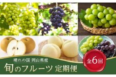 フルーツ 定期便 2025年 先行予約 晴れの国 岡山県産 旬のフルーツ定期便 6回コース 桃 もも 葡萄 ぶどう 梨 なし 岡山県産 国産 セット ギフト