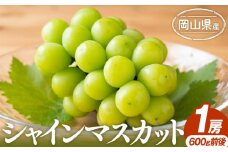 ぶどう 2025年先行予約 シャインマスカット 1房 600g前後 岡山県産 | フルーツ 果物 くだもの シャインマスカット マスカット ブドウ ぶどう 葡萄 デザート 岡山 岡山県産　国産 おすすめ 人気 プレゼント ギフト 贈答用 フルーツ 果物 シャインマスカット 葡萄 ぶどう ブドウ