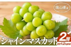 ぶどう 2025年先行予約 シャインマスカット 2房 合計1.2kg前後 岡山県産 | フルーツ 果物 くだもの シャインマスカット マスカット ブドウ ぶどう 葡萄 デザート 岡山 岡山県産　国産 おすすめ 人気 プレゼント ギフト 贈答用 フルーツ 果物 シャインマスカット 葡萄 ぶどう ブドウ