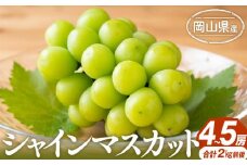 ぶどう 2025年先行予約 シャインマスカット 4～5房 合計2.0kg前後 岡山県産 | フルーツ 果物 くだもの シャインマスカット マスカット ブドウ ぶどう 葡萄 デザート 岡山 岡山県産　国産 おすすめ 人気 プレゼント ギフト 贈答用 フルーツ 果物 シャインマスカット 葡萄 ぶどう ブドウ