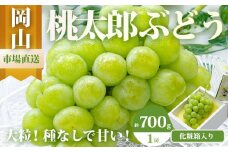 ぶどう 2025年 先行予約 桃太郎 ぶどう 1房（700g以上）化粧箱入り ブドウ 葡萄  岡山県産 国産 フルーツ 果物 ギフト
