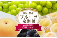 フルーツ 定期便 2025年 先行予約 フルーツ王国 岡山を堪能 5回コース 桃 もも 葡萄 ぶどう 梨 なし岡山県産 国産 果物 セット ギフト