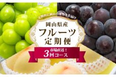 フルーツ 定期便 2025年 先行予約 フルーツ王国 岡山 厳選 果物 （7月 9月 10月）3回コース 桃 もも 葡萄 ぶどう 岡山県産 国産 セット ギフト