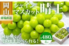 ぶどう 2025年 先行予約 シャイン マスカット 晴王 4房（1房480g以上）約2kg マスカット ブドウ 葡萄  岡山県産 国産 フルーツ 果物 ギフト