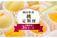 フルーツ 定期便 2025年 先行予約 岡山 の 桃 食べ比べ 定期便 3回コース もも モモ 岡山県産 国産 フルーツ 果物 セット ギフト